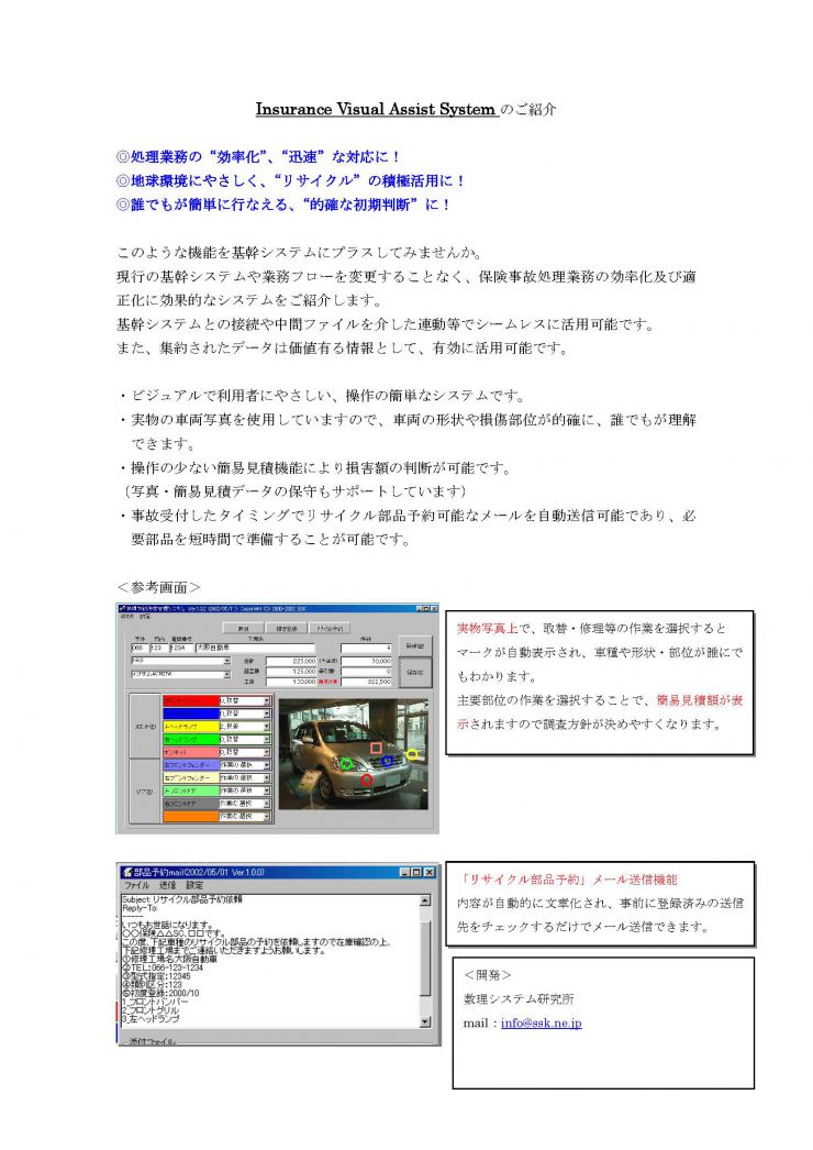 Insurance Visual Assist System